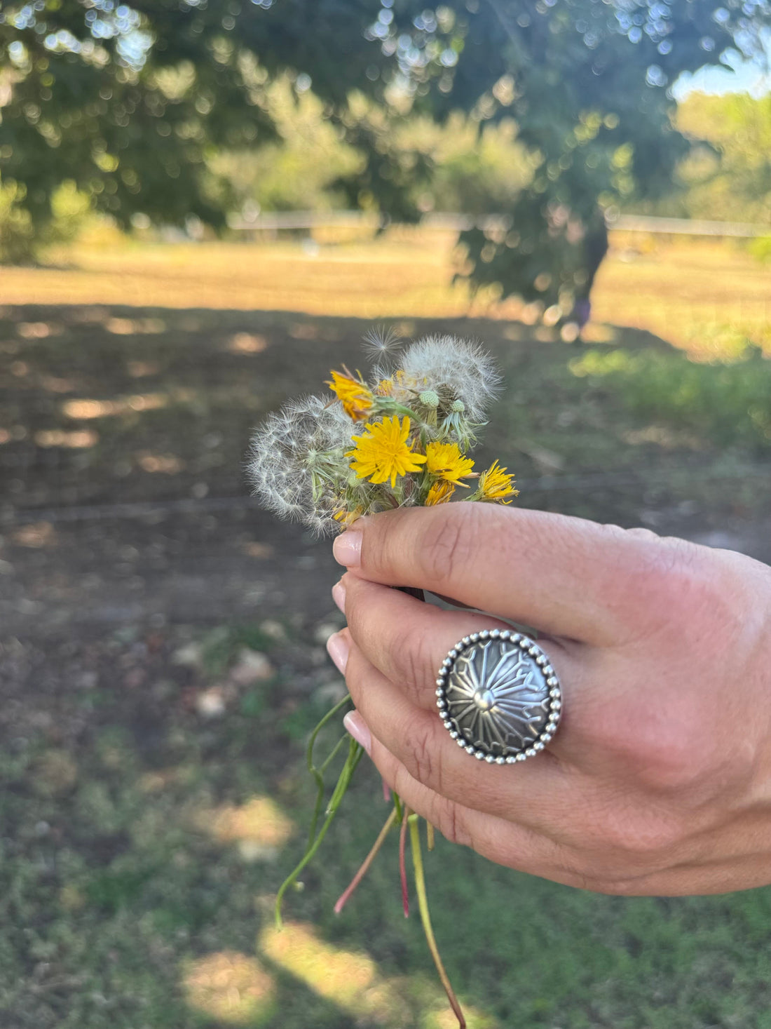 Dandelion Concho Collection Inspiration