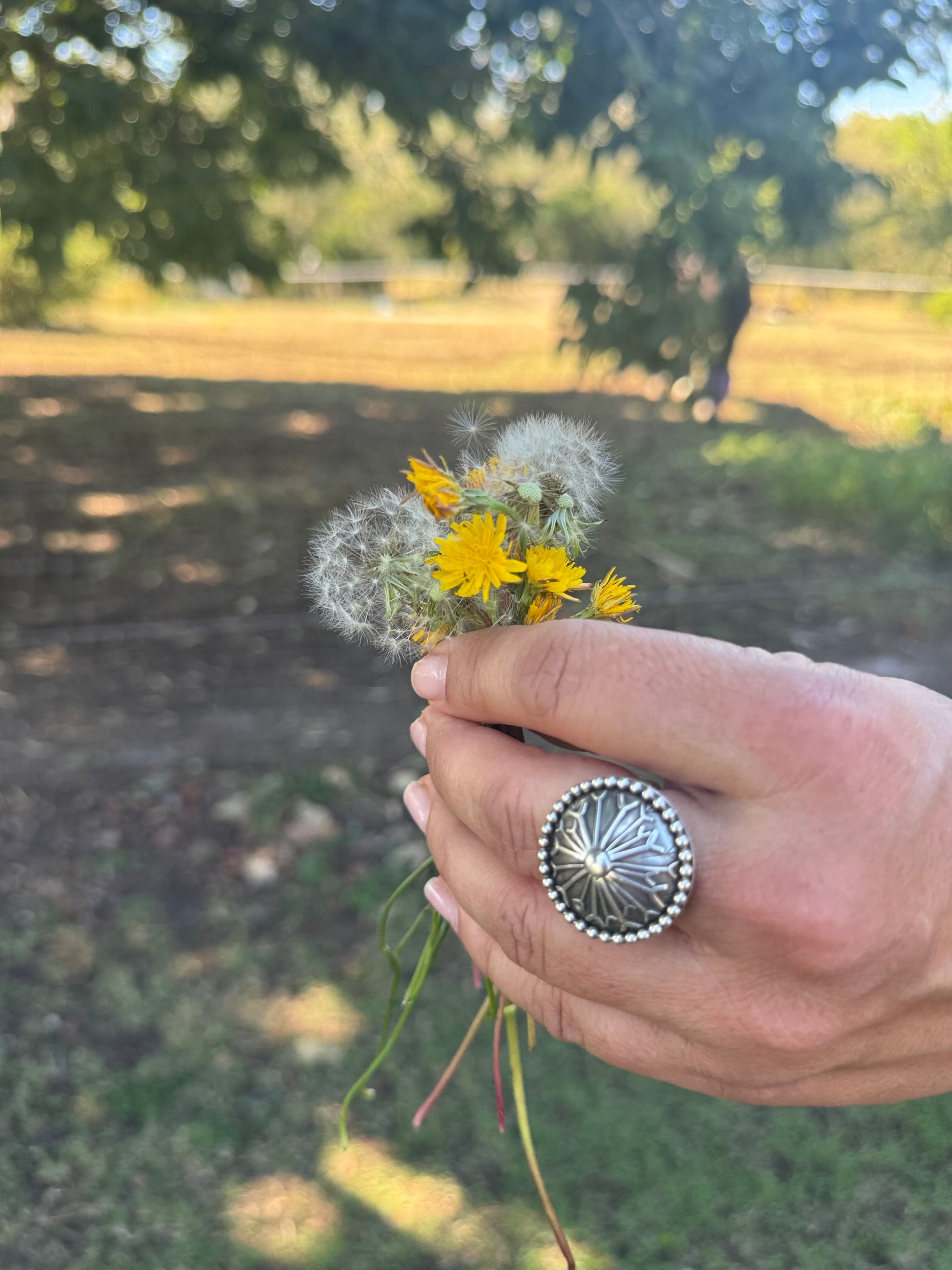 Dandelion Concho Collection Inspiration